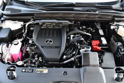 2023 Lexus RX 350 RX 350 Premium Plus FWD SUV W/Cold Area Package