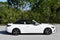 2025 Mercedes-Benz CLE 300 CLE 300 4MATIC® Cabriolet W/Navigation