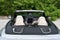 2026 Mercedes-Benz CLE 450 4MATIC® Cabriolet W/Pinnacle Trim & Night Package