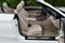 2021 Mercedes-Benz C 300 C 300 Cabriolet W/Parking Assistance, Night and AMG® Line Pkgs.