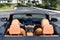 2023 BMW 4 Series 430i