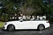 2020 Mercedes-Benz E 450 E 450 RWD Cabriolet W/Parking Assistance Package