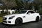 2015 Mercedes-Benz SLK 350 SLK 350 2 Door Roadster W/Carbon Look Edition
