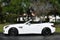 2015 Mercedes-Benz SLK 350 SLK 350 2 Door Roadster W/Carbon Look Edition
