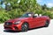 2019 Mercedes-Benz C 300 Cabriolet W/Premium, AMG® Line and Parking Assist Packa C 300
