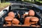 2024 MINI Convertible Cooper S W/Signature Trim 2.0 and Navigation